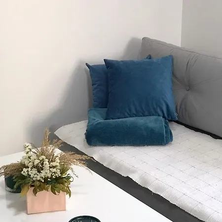 Milica Apartment *