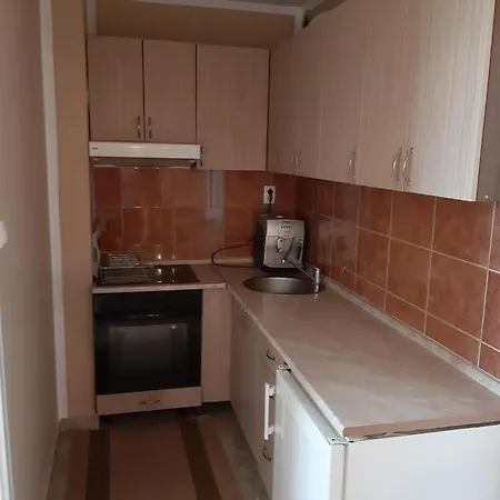 Apartment Apartman Milica Bijeljina
